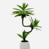 Artificial Tree 50cm Dracaena reflexa in PP pot GS-61923037 Tree&Plant YeahFlower is one of Chinese leading OEM manufacturers and exporters , supplying the silk flowers, wholesale artificial trees