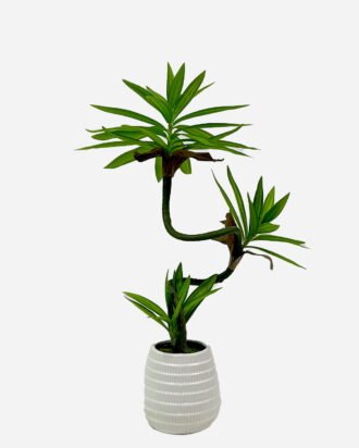 Artificial Tree 50cm Dracaena reflexa in PP pot GS-61923037 Tree&Plant YeahFlower is one of Chinese leading OEM manufacturers and exporters , supplying the silk flowers, wholesale artificial trees