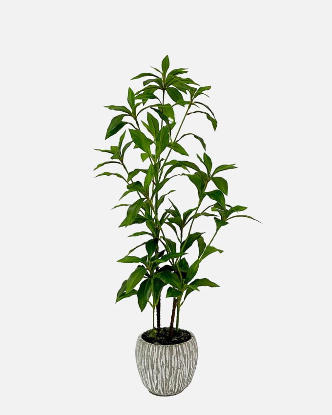 Artificial Tree 56cm Plant in Cement pot GS-61923032 Tree&Plant YeahFlower is one of Chinese leading OEM manufacturers and exporters , supplying the silk flowers, wholesale artificial trees
