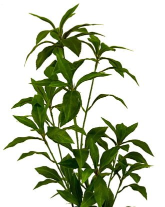 Artificial Tree 56cm Plant in Cement pot GS-61923032 Tree&Plant YeahFlower is one of Chinese leading OEM manufacturers and exporters , supplying the silk flowers, wholesale artificial trees