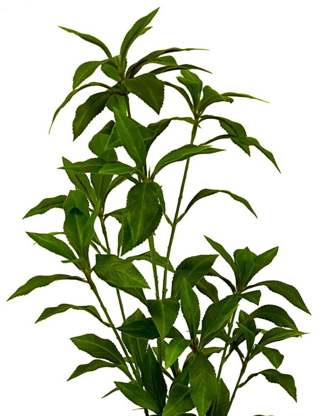 Artificial Tree 56cm Plant in Cement pot GS-61923032 Tree&Plant YeahFlower is one of Chinese leading OEM manufacturers and exporters , supplying the silk flowers, wholesale artificial trees