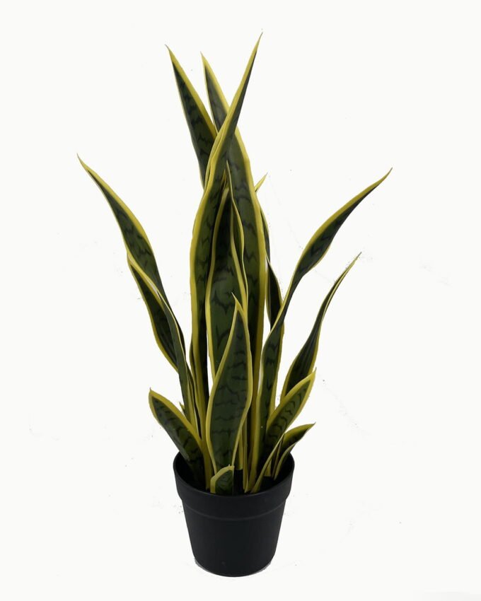 Artificial Tree 67cm Sansevieria *6 in PP pot GS-59523046 Tree&Plant YeahFlower is one of Chinese leading OEM manufacturers and exporters , supplying the silk flowers, wholesale artificial trees