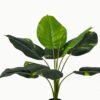Artificial Tree 70cm Leaf in PP pot/8 lvs GS-59523070 Tree&Plant YeahFlower is one of Chinese leading OEM manufacturers and exporters , supplying the silk flowers, wholesale artificial trees