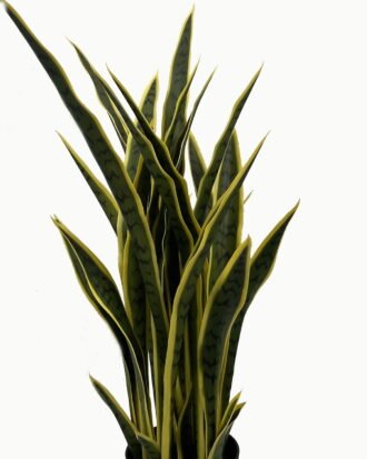 Artificial Tree 85cm Sansevieria *7 in PP pot GS-59523049 Tree&Plant YeahFlower is one of Chinese leading OEM manufacturers and exporters , supplying the silk flowers, wholesale artificial trees