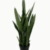 Artificial Tree 85cm Sansevieria 7 in PP pot GS-59523050 Artificial Tree 85cm Sansevieria *7 in PP pot GS-59523050 Tree&Plant YeahFlower is one of Chinese leading OEM manufacturers and exporters , supplying the silk flowers, wholesale artificial trees