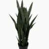 Artificial Tree 85cm Sansevieria *7 in PP pot GS-59523051 Tree&Plant YeahFlower is one of Chinese leading OEM manufacturers and exporters , supplying the silk flowers, wholesale artificial trees