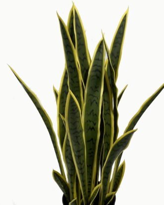 Artificial Tree 90cm Sansevieria *12 in PP pot GS-59523052 Tree&Plant YeahFlower is one of Chinese leading OEM manufacturers and exporters , supplying the silk flowers, wholesale artificial trees