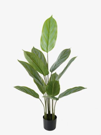 Artificial Tree 70*70*90cm Arrowroot in PP pot/9 lvs GS-66423015 Tree&Plant 3,000+ sqm showroom with thousands of artificial flowers, plants & trees ready for global sourcing.