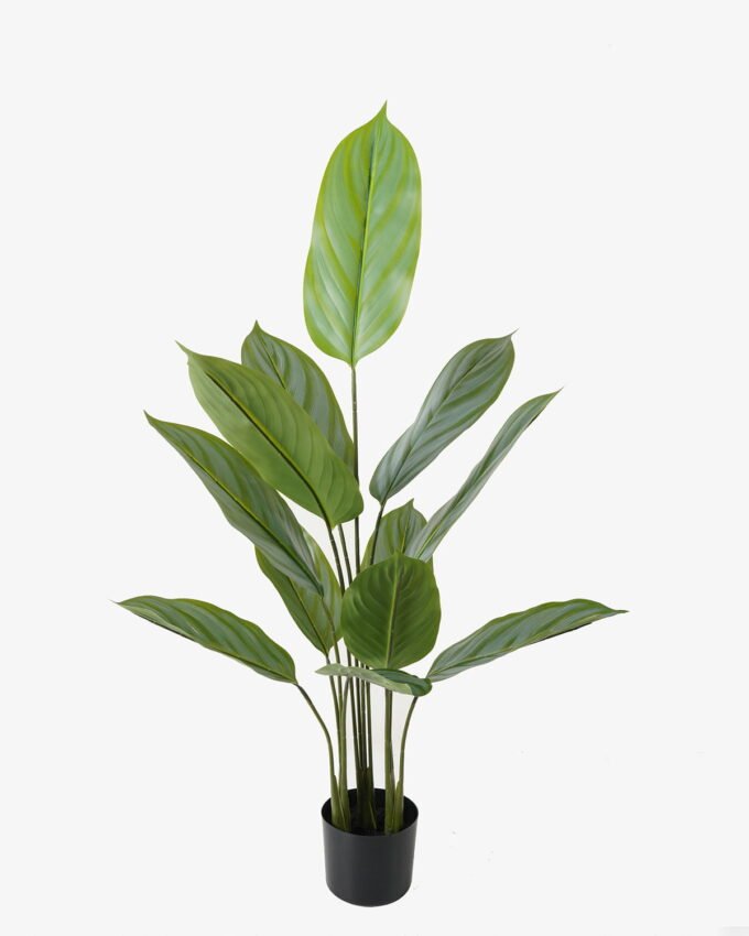 Artificial Tree 62*62*118cm Arrowroot in PP pot/12 lvs GS-66423014 Tree&Plant YeahFlower is one of Chinese leading OEM manufacturers and exporters , supplying the silk flowers, wholesale artificial trees