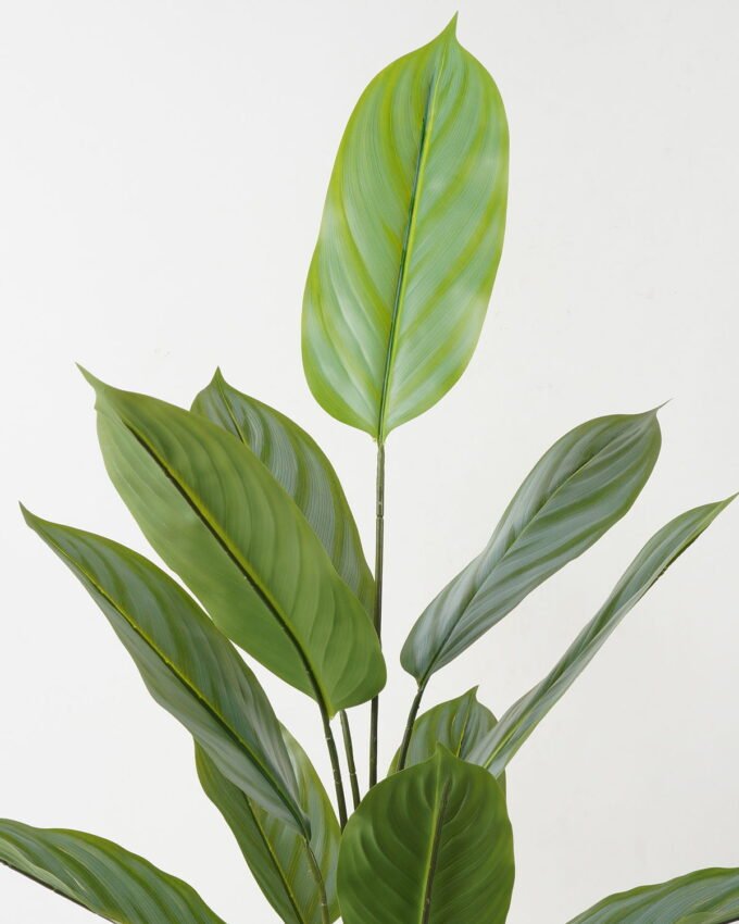 Artificial Tree 62*62*118cm Arrowroot in PP pot/12 lvs GS-66423014 Tree&Plant YeahFlower is one of Chinese leading OEM manufacturers and exporters , supplying the silk flowers, wholesale artificial trees