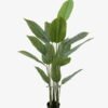 Artificial Tree 80*80*140cm Arrowroot in PP pot/15 lvs GS-66423013 Tree&Plant YeahFlower is one of Chinese leading OEM manufacturers and exporters , supplying the silk flowers, wholesale artificial trees