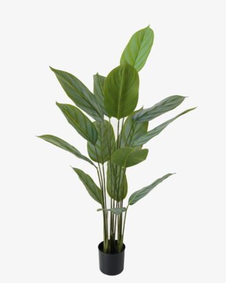Artificial Tree 80*80*140cm Arrowroot in PP pot/15 lvs GS-66423013 Tree&Plant YeahFlower is one of Chinese leading OEM manufacturers and exporters , supplying the silk flowers, wholesale artificial trees