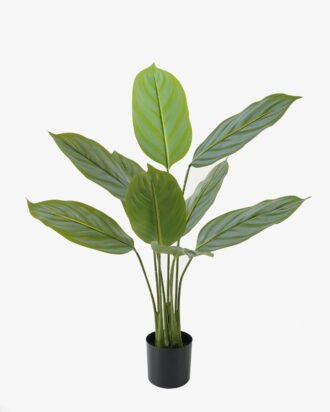 Artificial Tree 70*70*90cm Arrowroot in PP pot/9 lvs GS-66423015 Tree&Plant YeahFlower is one of Chinese leading OEM manufacturers and exporters , supplying the silk flowers, wholesale artificial trees