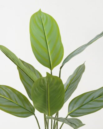 Artificial Tree 70*70*90cm Arrowroot in PP pot/9 lvs GS-66423015 Tree&Plant YeahFlower is one of Chinese leading OEM manufacturers and exporters , supplying the silk flowers, wholesale artificial trees