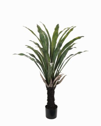 Artificial Tree 90*90*120cm Asplenium prolongatum in PP pot GS-59523042 Tree&Plant YeahFlower is one of Chinese leading OEM manufacturers and exporters , supplying the silk flowers, wholesale artificial trees Artificial Tree 90*90*120cm Asplenium prolongatum in PP pot GS-59523042 Tree&Plant YeahFlower is one of Chinese leading OEM manufacturers and exporters , supplying the silk flowers, wholesale artificial trees