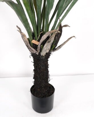 Artificial Tree 90*90*120cm Asplenium prolongatum in PP pot GS-59523042 Tree&Plant YeahFlower is one of Chinese leading OEM manufacturers and exporters , supplying the silk flowers, wholesale artificial trees Artificial Tree 90*90*120cm Asplenium prolongatum in PP pot GS-59523042 Tree&Plant YeahFlower is one of Chinese leading OEM manufacturers and exporters , supplying the silk flowers, wholesale artificial trees