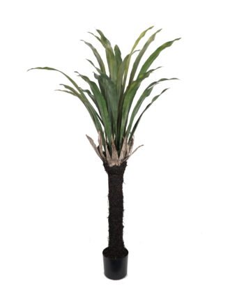 Artificial Tree 86*86*150cm Asplenium prolongatum in PP pot GS-59523043 Tree&Plant YeahFlower is one of Chinese leading OEM manufacturers and exporters , supplying the silk flowers, wholesale artificial trees Artificial Tree 86*86*150cm Asplenium prolongatum in PP pot GS-59523043 Tree&Plant YeahFlower is one of Chinese leading OEM manufacturers and exporters , supplying the silk flowers, wholesale artificial trees