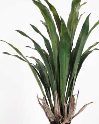 Artificial Tree 86*86*150cm Asplenium prolongatum in PP pot GS-59523043 Tree&Plant YeahFlower is one of Chinese leading OEM manufacturers and exporters , supplying the silk flowers, wholesale artificial trees Artificial Tree 86*86*150cm Asplenium prolongatum in PP pot GS-59523043 Tree&Plant YeahFlower is one of Chinese leading OEM manufacturers and exporters , supplying the silk flowers, wholesale artificial trees