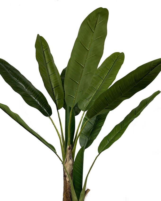 Artificial Tree 80*80*160cm Banana tree in PP pot/11 lvs GS-30423059 Tree&Plant YeahFlower is one of Chinese leading OEM manufacturers and exporters , supplying the silk flowers, wholesale artificial trees