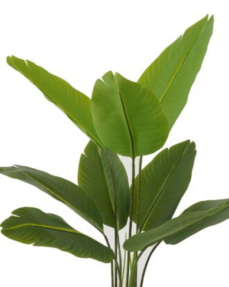 Artificial Tree 65*90cm Canna *3 in PP pot/9 lvs GS-66423009 Tree&Plant YeahFlower is one of Chinese leading OEM manufacturers and exporters , supplying the silk flowers, wholesale artificial trees