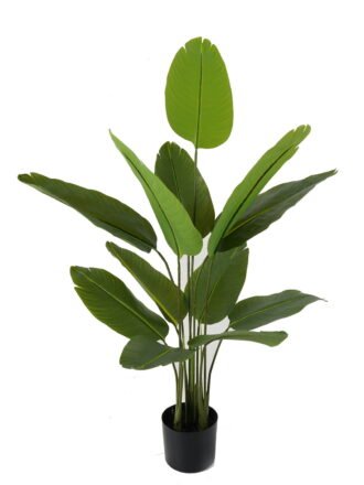 Artificial Tree 86*140cm Canna *5 in PP pot/15 lvs GS-66423007 Tree&Plant 3,000+ sqm showroom with thousands of artificial flowers, plants & trees ready for global sourcing.