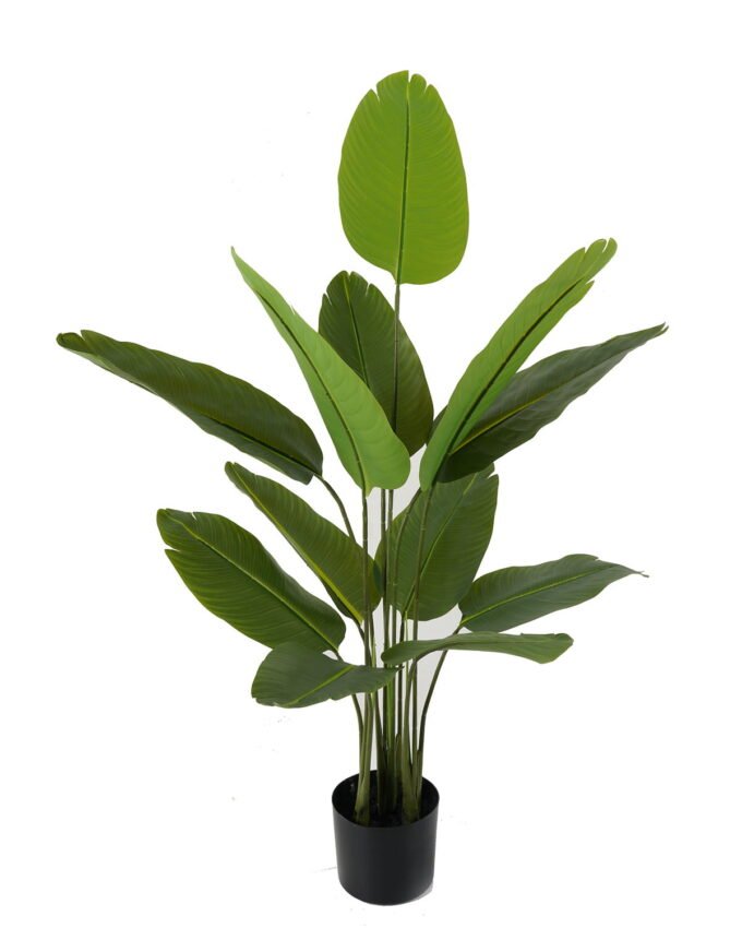 Artificial Tree 80*118cm Canna *4 in PP pot/12 lvs GS-66423008 Tree&Plant YeahFlower is one of Chinese leading OEM manufacturers and exporters , supplying the silk flowers, wholesale artificial trees