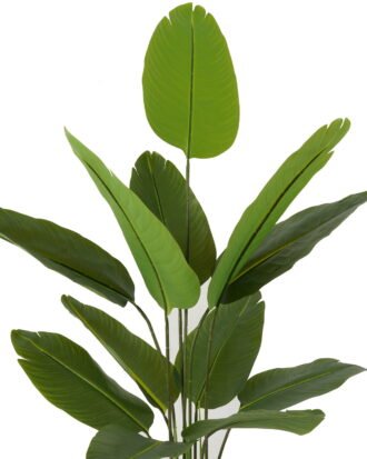 Artificial Tree 80*118cm Canna *4 in PP pot/12 lvs GS-66423008 Tree&Plant YeahFlower is one of Chinese leading OEM manufacturers and exporters , supplying the silk flowers, wholesale artificial trees