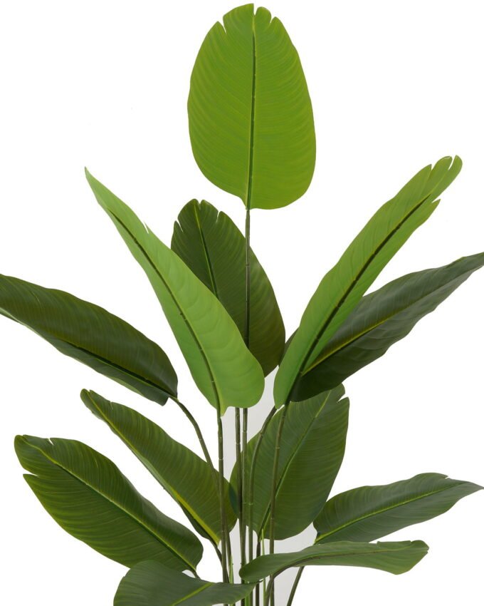 Artificial Tree 80*118cm Canna *4 in PP pot/12 lvs GS-66423008 Tree&Plant YeahFlower is one of Chinese leading OEM manufacturers and exporters , supplying the silk flowers, wholesale artificial trees