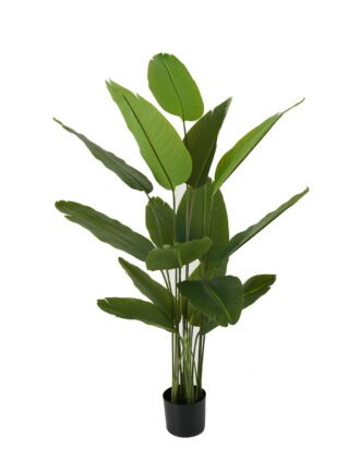 Artificial Tree 86*140cm Canna *5 in PP pot/15 lvs GS-66423007 Tree&Plant YeahFlower is one of Chinese leading OEM manufacturers and exporters , supplying the silk flowers, wholesale artificial trees
