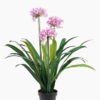 Artificial Tree Daffodils 3 in PP pot lvs 24 GS-30423035_4 Artificial Tree 65*65*89cm Daffodils *3 in PP pot/ lvs 24 GS-30423035 Tree&Plant YeahFlower is one of Chinese leading OEM manufacturers and exporters , supplying the silk flowers, wholesale artificial trees