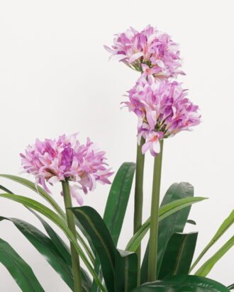 Artificial Tree 65*65*89cm Daffodils *3 in PP pot/ lvs 24 GS-30423035 Tree&Plant YeahFlower is one of Chinese leading OEM manufacturers and exporters , supplying the silk flowers, wholesale artificial trees Artificial Tree 65*65*89cm Daffodils *3 in PP pot/ lvs 24 GS-30423035 Tree&Plant YeahFlower is one of Chinese leading OEM manufacturers and exporters , supplying the silk flowers, wholesale artificial trees