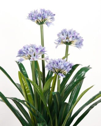 Artificial Tree 60*60*100cm Daffodils *4 in PP pot/lvs 32 GS-30423034 Tree&Plant YeahFlower is one of Chinese leading OEM manufacturers and exporters , supplying the silk flowers, wholesale artificial trees Artificial Tree 60*60*100cm Daffodils *4 in PP pot/lvs 32 GS-30423034 Tree&Plant YeahFlower is one of Chinese leading OEM manufacturers and exporters , supplying the silk flowers, wholesale artificial trees