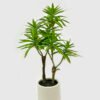 Artificial Tree 65*45*90cm Dracaena reflexa *2 in PP pot GS-61923023 Tree&Plant YeahFlower is one of Chinese leading OEM manufacturers and exporters , supplying the silk flowers, wholesale artificial trees