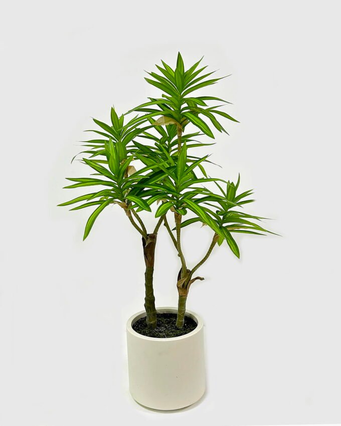 Artificial Tree 65*45*90cm Dracaena reflexa *2 in PP pot GS-61923023 Tree&Plant YeahFlower is one of Chinese leading OEM manufacturers and exporters , supplying the silk flowers, wholesale artificial trees