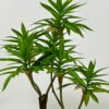 Artificial Tree 65*45*90cm Dracaena reflexa *2 in PP pot GS-61923023 Tree&Plant YeahFlower is one of Chinese leading OEM manufacturers and exporters , supplying the silk flowers, wholesale artificial trees