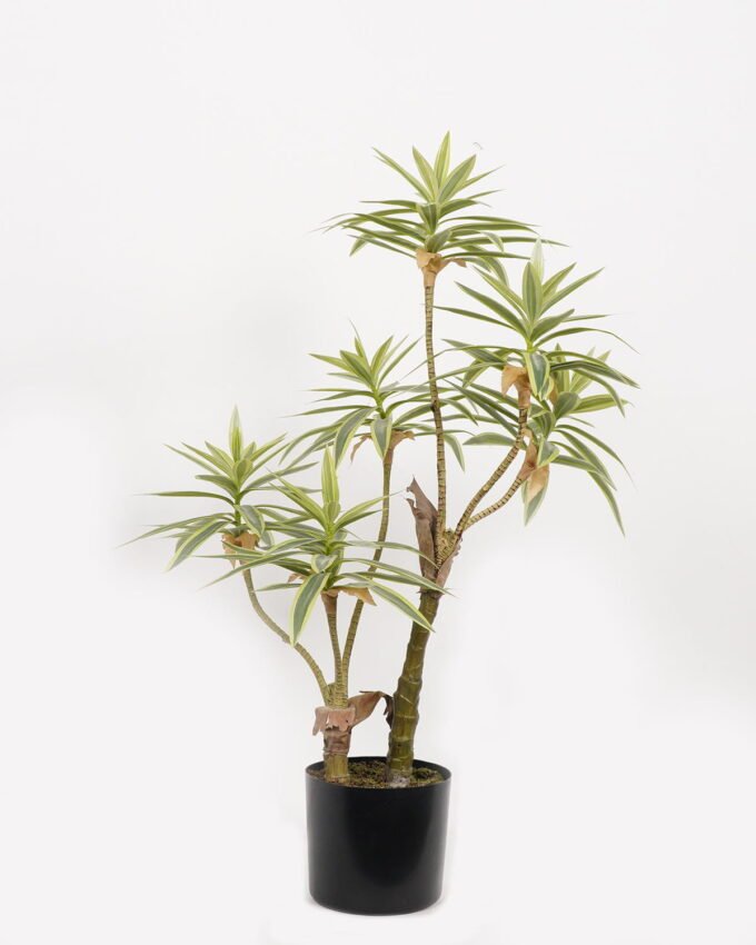Artificial Tree 65*45*90cm Dracaena reflexa *2 in PP pot GS-61923023 Tree&Plant YeahFlower is one of Chinese leading OEM manufacturers and exporters , supplying the silk flowers, wholesale artificial trees