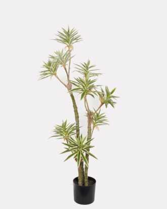Artificial Tree 60*60*140cm Dracaena reflexa *3 in PP pot GS-61923026 Tree&Plant YeahFlower is one of Chinese leading OEM manufacturers and exporters , supplying the silk flowers, wholesale artificial trees