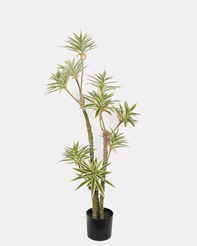 Artificial Tree 60*60*140cm Dracaena reflexa *3 in PP pot GS-61923026 Tree&Plant YeahFlower is one of Chinese leading OEM manufacturers and exporters , supplying the silk flowers, wholesale artificial trees