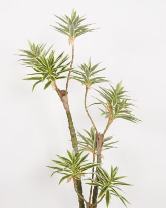 Artificial Tree 60*60*140cm Dracaena reflexa *3 in PP pot GS-61923026 Tree&Plant YeahFlower is one of Chinese leading OEM manufacturers and exporters , supplying the silk flowers, wholesale artificial trees