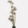Artificial Tree 40*40*180cm Dracaena reflexa *4 in PP pot GS-61923029 Tree&Plant YeahFlower is one of Chinese leading OEM manufacturers and exporters , supplying the silk flowers, wholesale artificial trees
