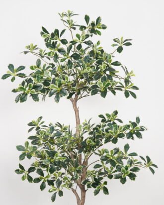 Artificial Tree 80*80*180cm Duck foot wood in PP pot GS-61923031 Tree&Plant YeahFlower is one of Chinese leading OEM manufacturers and exporters , supplying the silk flowers, wholesale artificial trees