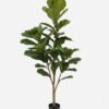 Artificial Tree Ficus lyrata 3 in PP pot GS-69423038_6 Artificial Tree 57*57*119cm Ficus lyrata *3 in PP pot GS-69423038 Tree&Plant YeahFlower is one of Chinese leading OEM manufacturers and exporters , supplying the silk flowers, wholesale artificial trees