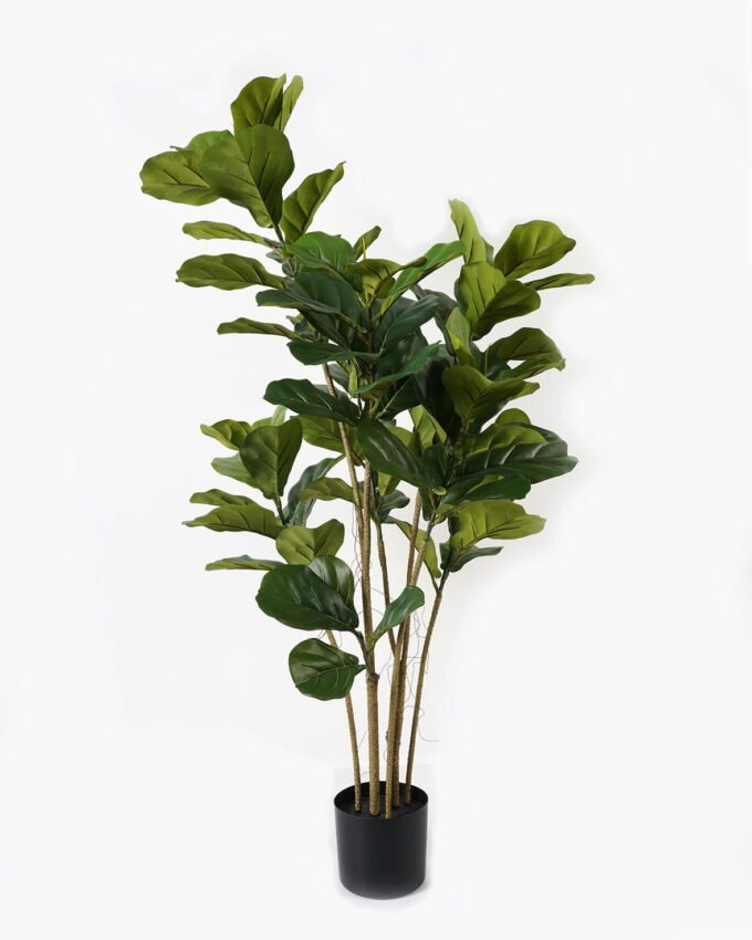 Artificial Tree 54*54*127cm Ficus lyrata *5 in PP pot GS-69423042 Tree&Plant YeahFlower is one of Chinese leading OEM manufacturers and exporters , supplying the silk flowers, wholesale artificial trees