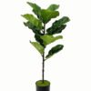 Artificial Tree 40*40*75cm Ficus tree in PP pot/12 lvs GS-46723001 Tree&Plant YeahFlower is one of Chinese leading OEM manufacturers and exporters , supplying the silk flowers, wholesale artificial trees