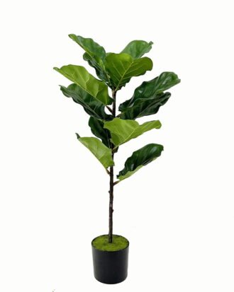 Artificial Tree 40*40*75cm Ficus tree in PP pot/12 lvs GS-46723001 Tree&Plant YeahFlower is one of Chinese leading OEM manufacturers and exporters , supplying the silk flowers, wholesale artificial trees Artificial Tree 40*40*75cm Ficus tree in PP pot/12 lvs GS-46723001 Tree&Plant YeahFlower is one of Chinese leading OEM manufacturers and exporters , supplying the silk flowers, wholesale artificial trees