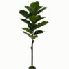 Artificial Tree 47*47*119cm Ficus tree in PP pot/15 lvs GS-46723002 Tree&Plant YeahFlower is one of Chinese leading OEM manufacturers and exporters , supplying the silk flowers, wholesale artificial trees