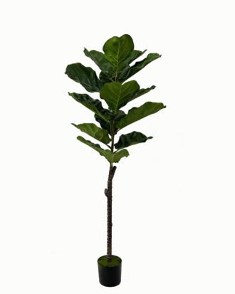 Artificial Tree 47*47*119cm Ficus tree in PP pot/15 lvs GS-46723002 Tree&Plant YeahFlower is one of Chinese leading OEM manufacturers and exporters , supplying the silk flowers, wholesale artificial trees Artificial Tree 47*47*119cm Ficus tree in PP pot/15 lvs GS-46723002 Tree&Plant YeahFlower is one of Chinese leading OEM manufacturers and exporters , supplying the silk flowers, wholesale artificial trees