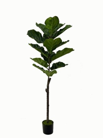 Artificial Tree 40*40*75cm Ficus tree in PP pot/12 lvs GS-46723001 Tree&Plant 3,000+ sqm showroom with thousands of artificial flowers, plants & trees ready for global sourcing.