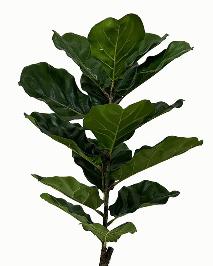 Artificial Tree 47*47*119cm Ficus tree in PP pot/15 lvs GS-46723002 Tree&Plant YeahFlower is one of Chinese leading OEM manufacturers and exporters , supplying the silk flowers, wholesale artificial trees