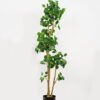 Artificial-Tree-Green-leaf-2-in-PP-pot-GS-69423028_4-1.jpg Artificial Tree 50*40*149cm Green leaf *2 in PP pot GS-69423028 Tree&Plant YeahFlower is one of Chinese leading OEM manufacturers and exporters , supplying the silk flowers, wholesale artificial trees